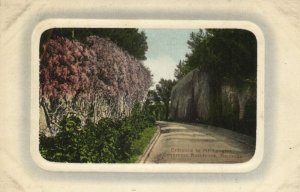 bermuda, Entrance to Mt. Langton, Governors Residence (1910s) Embossed Postcard