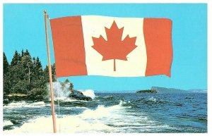 Canada's New Flag Red White w/ Maple Leaf Postcard
