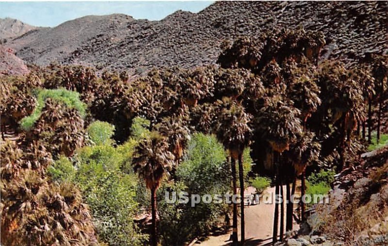 Palm Springs - Palm Canyon, CA