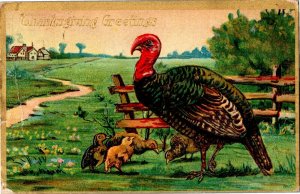 Thanksgiving Greetings Turkey Hen and Chicks Embossed c1909 Vintage Postcard F53