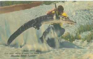 Silver Springs Florida Ross Allen Vs Alligator 1955 Linen Postcard Used