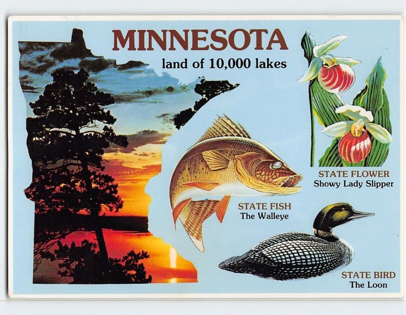 Postcard Land of 10,000 lakes, Minnesota