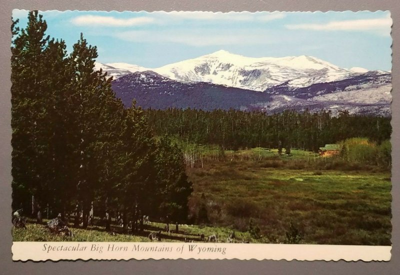 Spectacular Big Horn Mountains of Wyoming Postcard