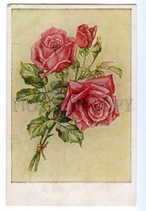 497591 Catherine KLEIN Pink ROSES Flowers Unsign Vintage postcard