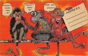 C-117 Ray Walters Comic The Three Monkeys Curt Teich Postcard