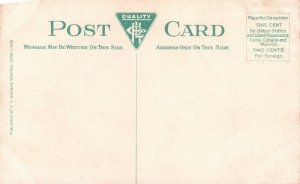 Mountain Laurel Flower Winsted CT Connecticut Vintage Postcard 1920