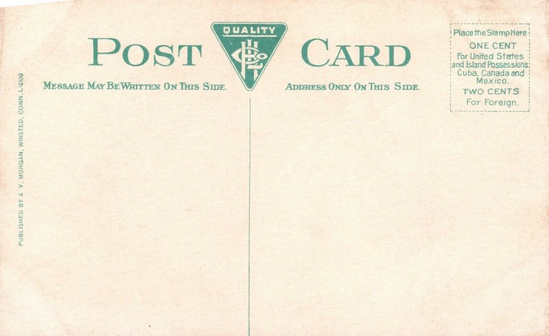 Mountain Laurel Flower Winsted CT Connecticut Vintage Postcard 1920