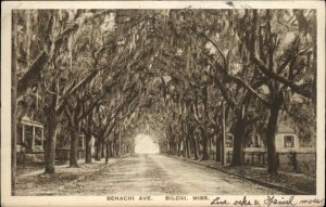 Biloxi Mississippi MS Benachi Ave c1910 Postcard