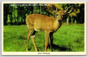 Greetings From Secord Lake Michigan MI Wild Animal Postcard