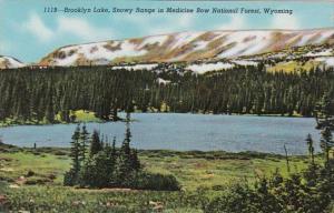 Wyoming Brooklyn Lake Snowy Range In Medicine Bow National Forest