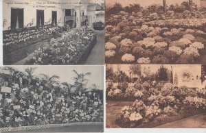 FLOWER EXPOSITION Gand 1908, 1933,1955 Belgium 42 Vintage Postcards (L5473)