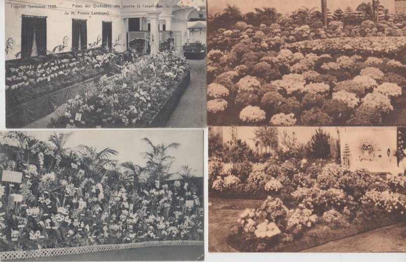 FLOWER EXPOSITION Gand 1908, 1933,1955 Belgium 42 Vintage Postcards (L5473)