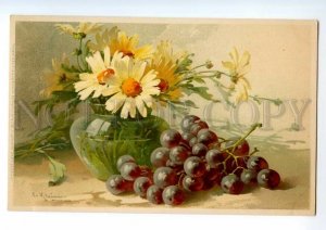 497570 Catherine KLEIN daisy & GRAPES on Table Vintage postcard Meissner #1288