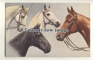 an0646 - Chums Four Beautiful Horses in Tack, Artist - U/K - postcard - Tuck's