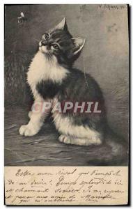 Old Postcard Cat Cats Kitten