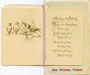 Happy Birthday Greeting Card on a Postcard DB - Novelty Card