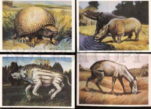 007202 DINOSAURS Collection of 16 colorful russian cards #3