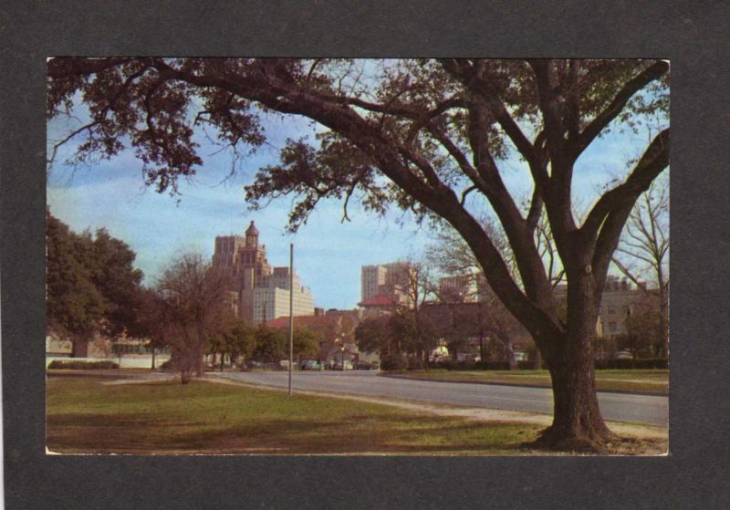 TX Skyline Sam Houston Park Texas Postcard