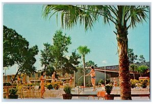 c1950's Pool Scene at The Panorama in Silver Springs Shores FL Postcard 