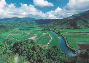 Hawaii Maui The LUsh Hanalei Valley