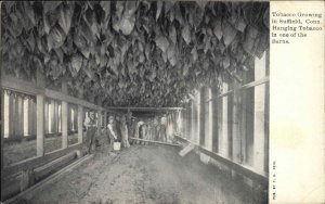 Suffield Connecticut CT Tobacco Farm Agriculture c1910 Vintage Postcard