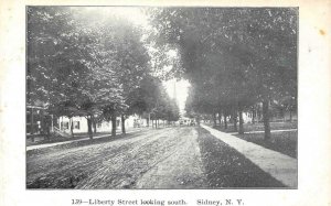 Liberty Street Scene SIDNEY, NY New York c1910s Vintage Postcard