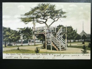 Vintage Postcard 1907 Apple Tree Canobie Lake Park Salem New Hampshire (NH)