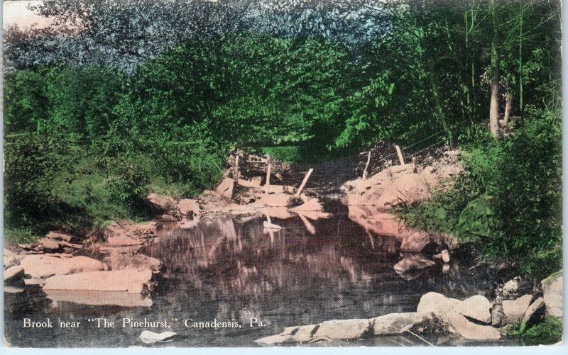 CANADENSIS,  PA Pennsyvania   BROOK near  THE PINEHURST   1911    Postcard