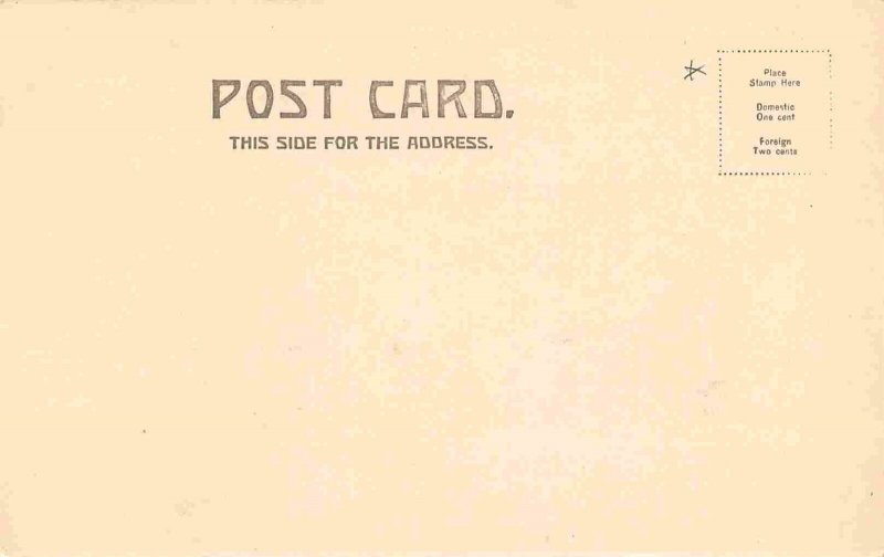 Casco Castle & Park South Freeport Maine 1905c postcard