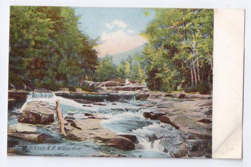 Jackson NH Wildcat River White Mountains UDB Leighton c 1907