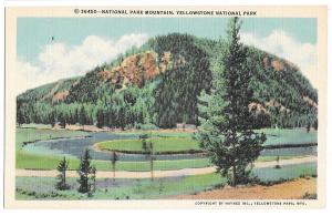 WY Yellowstone National Park Mountain Vtg Linen Postcard Haynes Wyoming