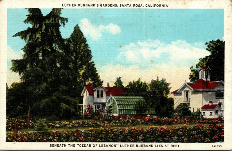 Vtg 1930's Luther Burbank's Gardens Santa Rosa California CA Linen Postcard