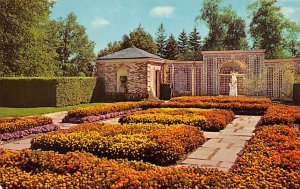 Marigolds, Kingwood Center Mansfield, Ohio OH Postcard