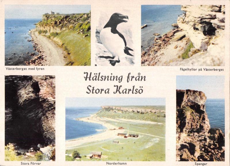 Hälsning från Stora Karlsö Sweden POSTCARD