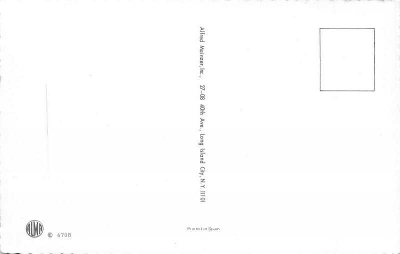 L336 Humanized Cats Circus Fair Dog Monkey anthropomorphic comic humor postcard