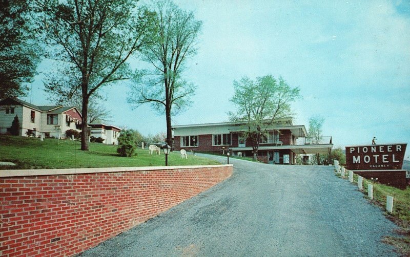 Vintage Postcard Pioneer Motel Rooms Bath Restaurant Front Royal Virginia Lewis