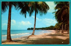 Puerto Rico - Luquillo Beach - [FG-429]