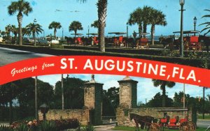 USA Greetings From St. Augustine Florida Chrome Postcard 08.94