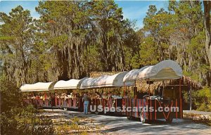 Weeki Wachee's Covered Wagon Train - Spring of Live Mermaids, Florida FL  