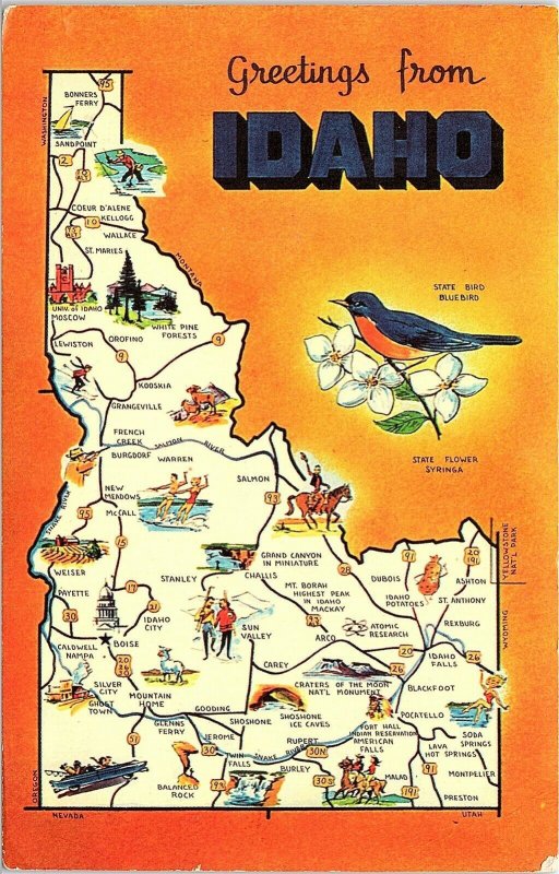 Postcard~Greetings From~Idaho~A98 