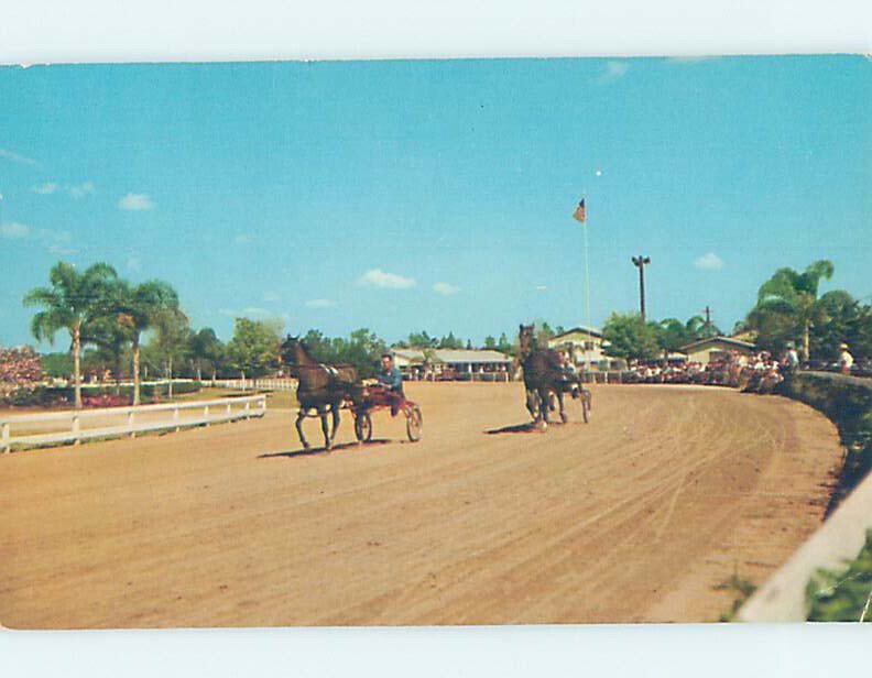 Chrome HORSE RACING SCENE Orlando Florida FL AG5496