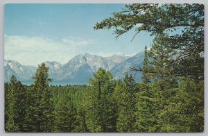 National & State Parks~Grand Teton Wyoming~Range @ Turnout~Vintage Postcard