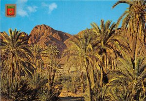 Lot 9   morocco Tafraout valley of the smiling lion