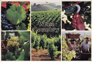 Wine Country Of Northern California