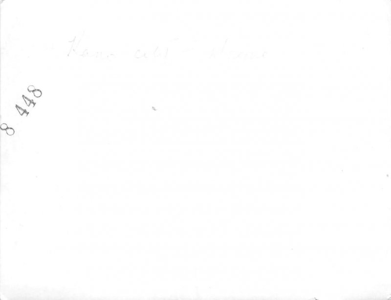 US36 postcard large mosque minaret Kano Nigeria