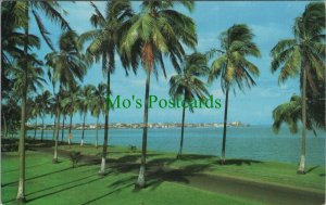 Panama Postcard - Republic of Panama, As Seen From Amador RS22800