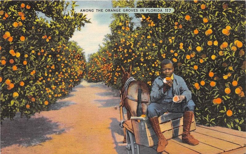 A25/ Black Americana Postcard 1940 Tampa Florida Orange Mule Cart Boy 17