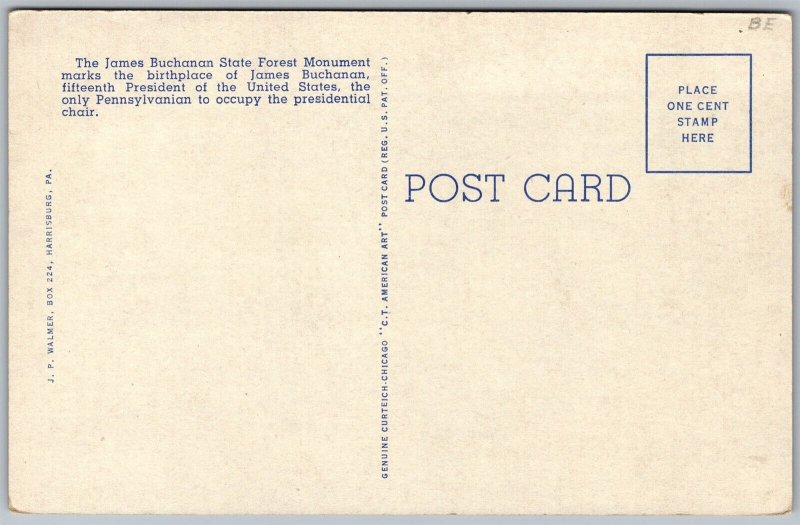 Vtg Mercersburg PA State Forest Monument James Buchanan Birthplace Postcard