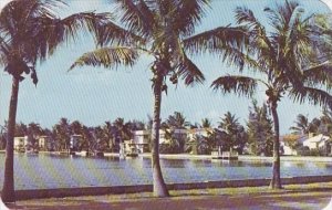 Florida Fort Louderdale Island Homes Seen From East Las Olas 1951