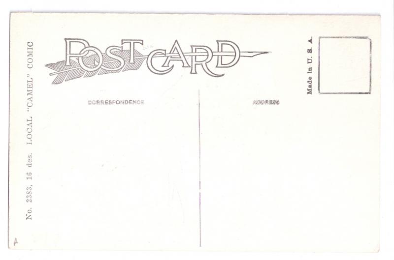 Reading PA Camel Comic Postcard Water Wagon A/S E. Weaver